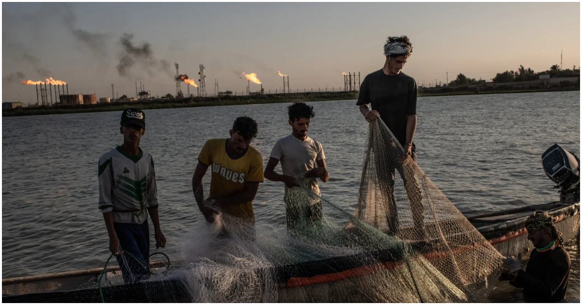 টাইগ্রিস ও ইউফ্রেটিস নদীর মিলনস্থল ইরাকের নাহরান ওমর এলাকায় প্রাত্যহিক কাজে জেলেরা। এটি তেল উৎপাদনের জন্য বিশ্বের অন্যতম কেন্দ্রীভূত অঞ্চল। ছবি: নিউ ইয়র্ক টাইমস